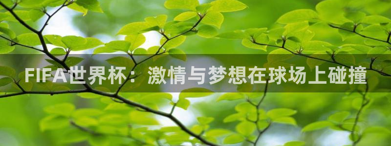 od体育最新链接：FIFA世界杯：激情与梦想在球场上碰撞