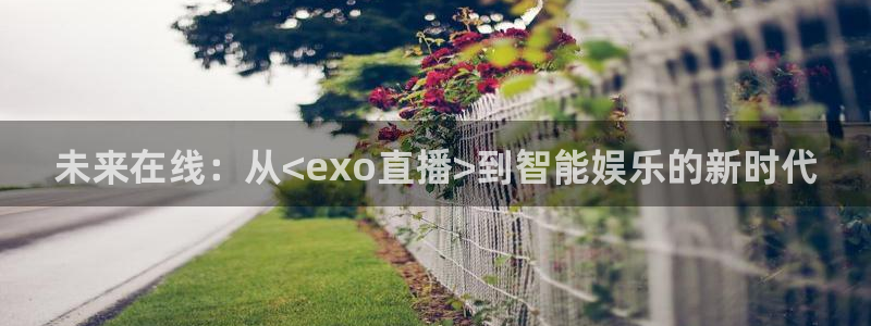 龙门直播nba免费直播在线观看：未来在线：从<exo直播>到智能娱乐的新时代