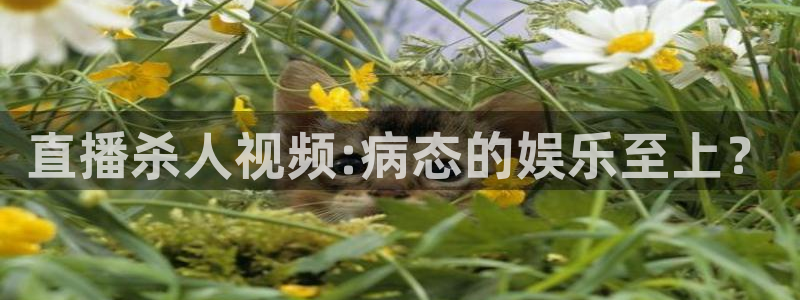 龙门直播nba下载：直播杀人视频:病态的娱乐至上？