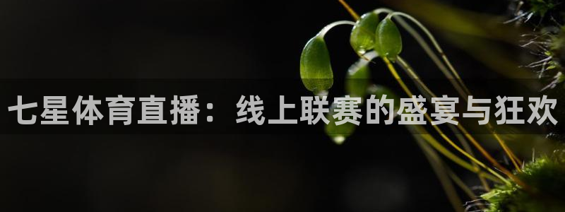 龙门直播免费下载入口：七星体育直播：线上联赛的盛宴与狂欢
