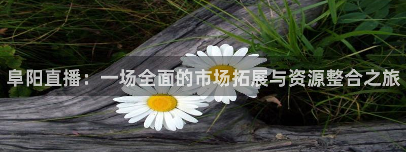 龙门免费直播平台：阜阳直播：一场全面的市场拓展与资源整合之旅