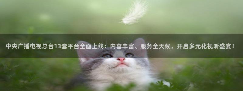 龙门体育视频直播：中央广播电视总台13套平台全面上线：内容丰富、服务全天候，开启多元化视听盛宴！