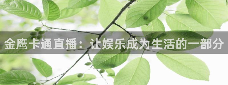 龙门直播体育免费观看：金鹰卡通直播：让娱乐成为生活的一部分