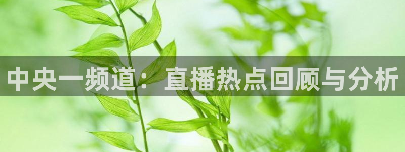 龙门令1至100集免费观看：中央一频道：直播热点回顾与分析